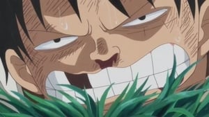 One Piece Season 19 Episode 811